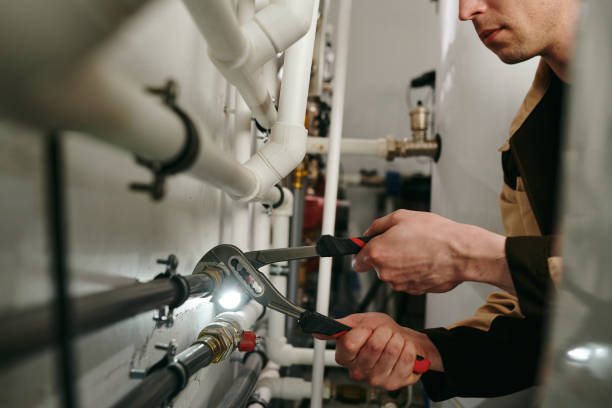 Best Commercial Plumbing Services  in Spring Grove, IL