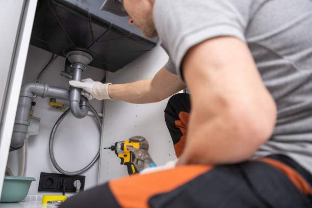 Best Plumbing Services Near Me  in Spring Grove, IL