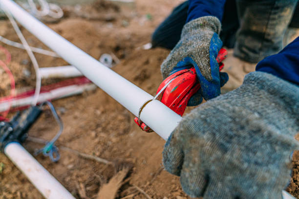 Best Sewer Line Repair  in Spring Grove, IL